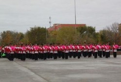 新湖总场爆料最新消息今天